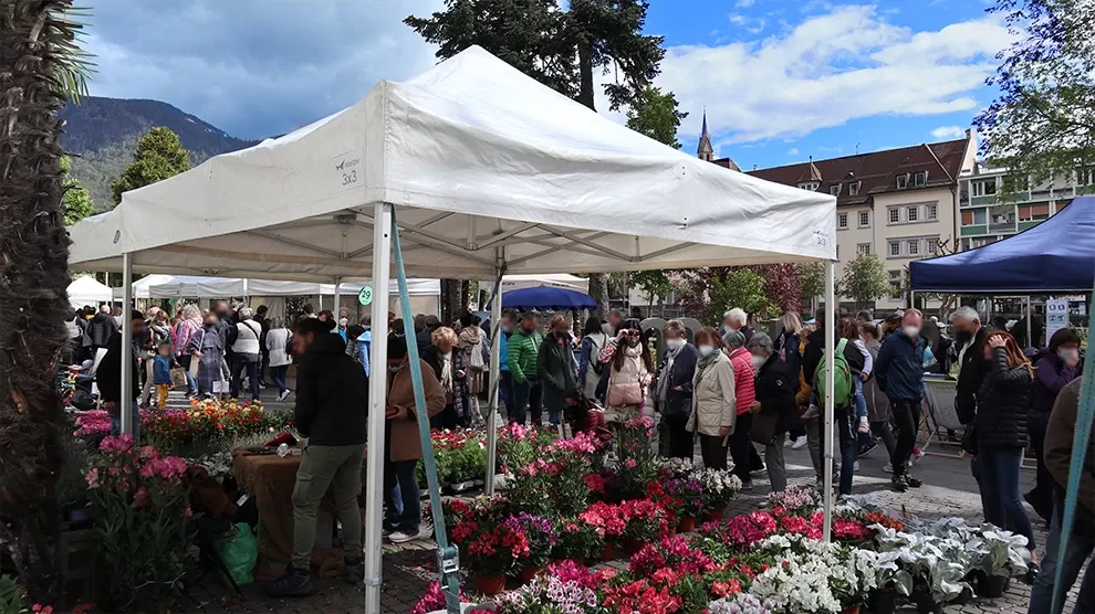 gazebo estensibile per allestimento eventi